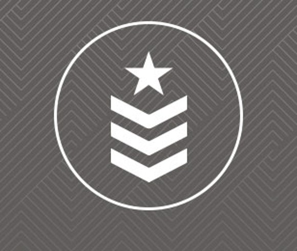 Military Badge Icon