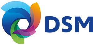 DSM Logo